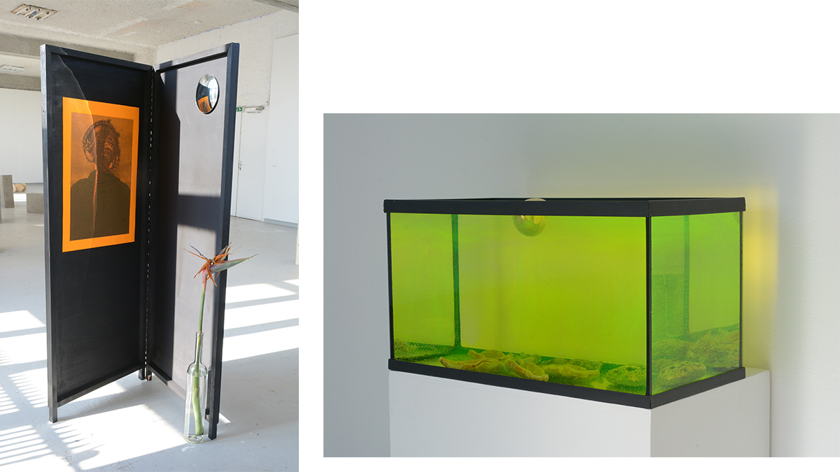 DNSEP Art 2015 Ann-Xuan Llanes © Pierre Lavesque