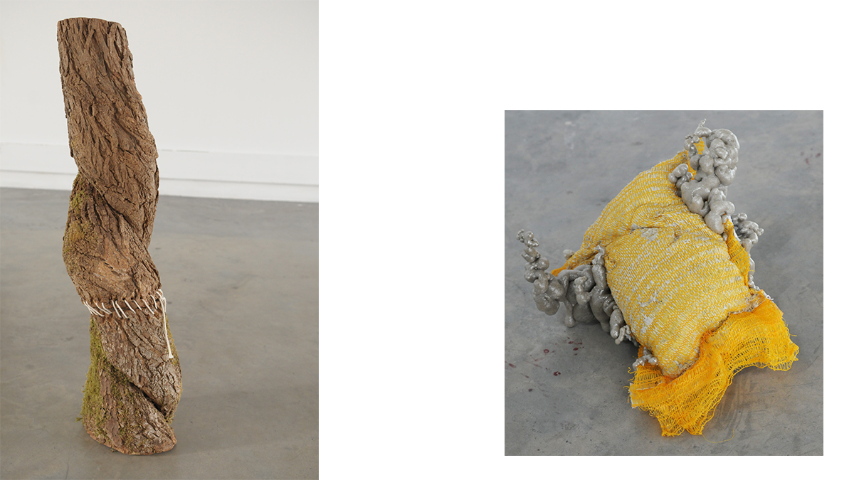 DNA Art 2015 - Barois Kévin © Hugo Durante
