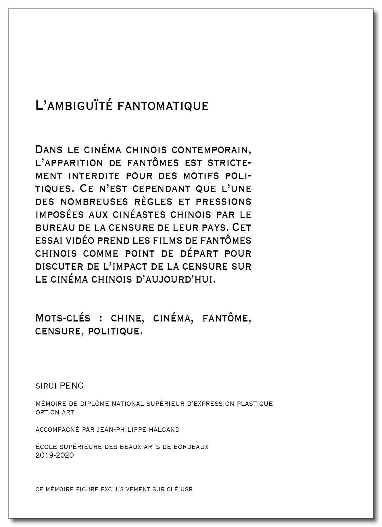 Mémoire Sirui Peng