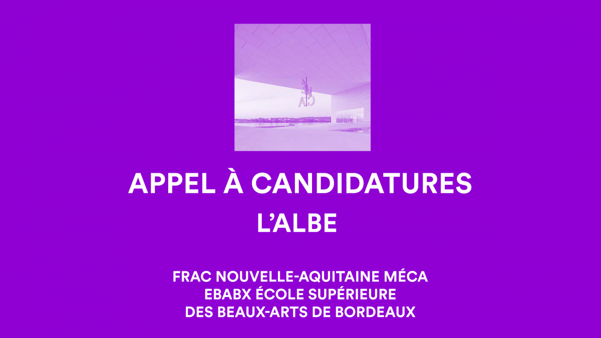 visuel MECA © Laurian Ghinitoiu / conception graphique : ebabx
