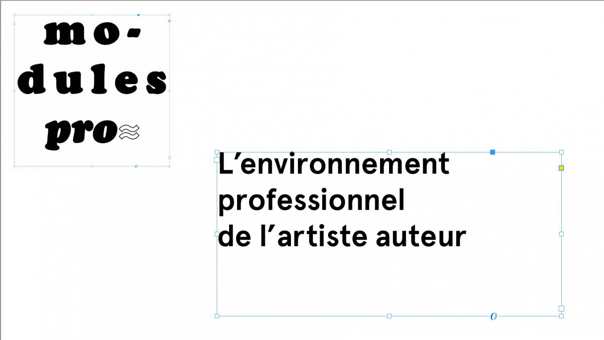 Module pro 1 – L’environnement professionnel de l’artiste auteur 