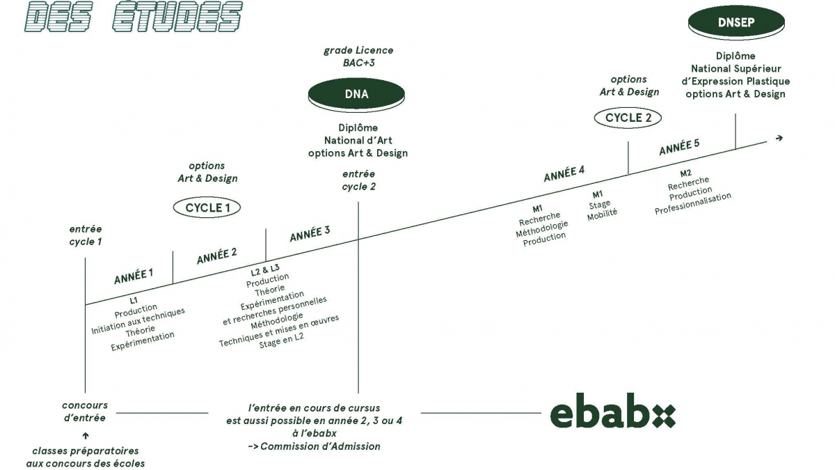 Schema du cursus 2024-2025