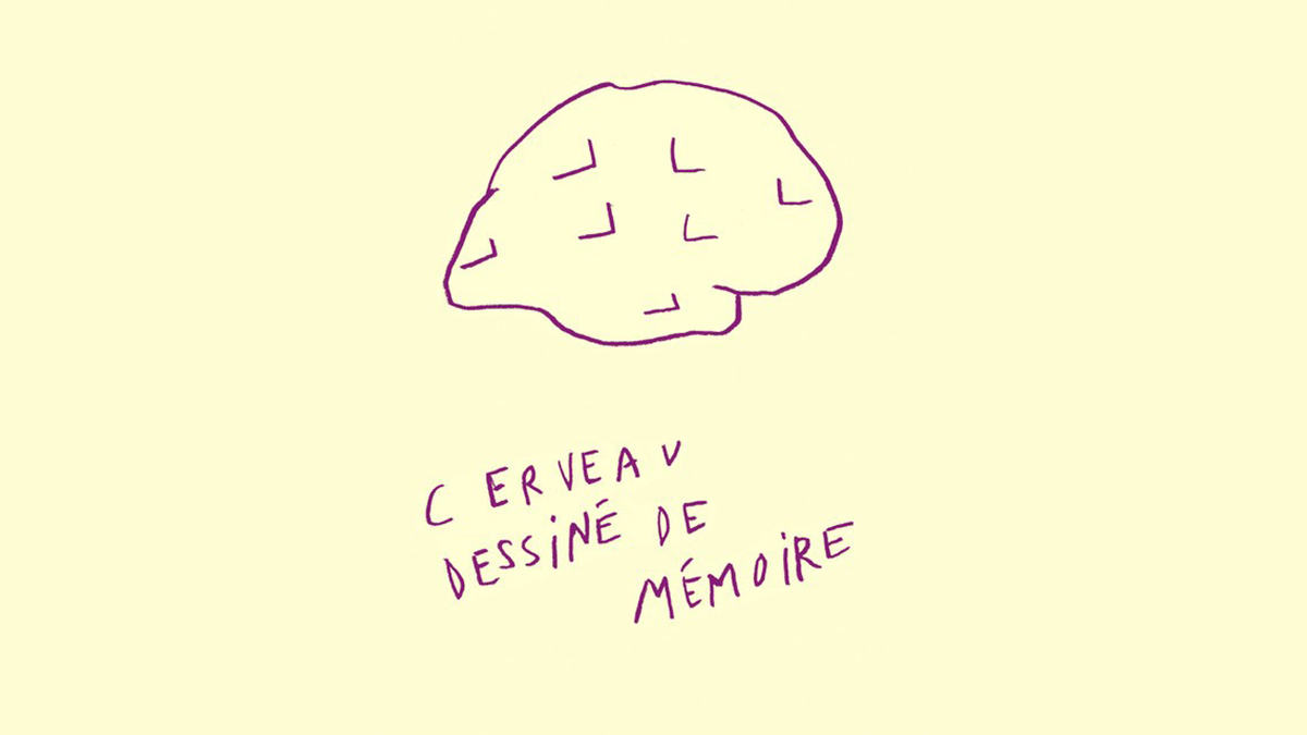Cerveau dessiné de mémoire - Arnaud Labelle-Rojoux