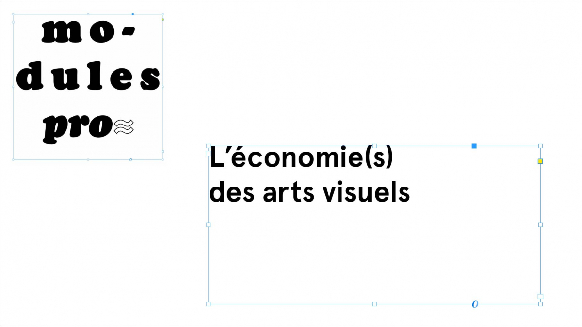 Module pro 2 – L’économie(s) des arts visuels