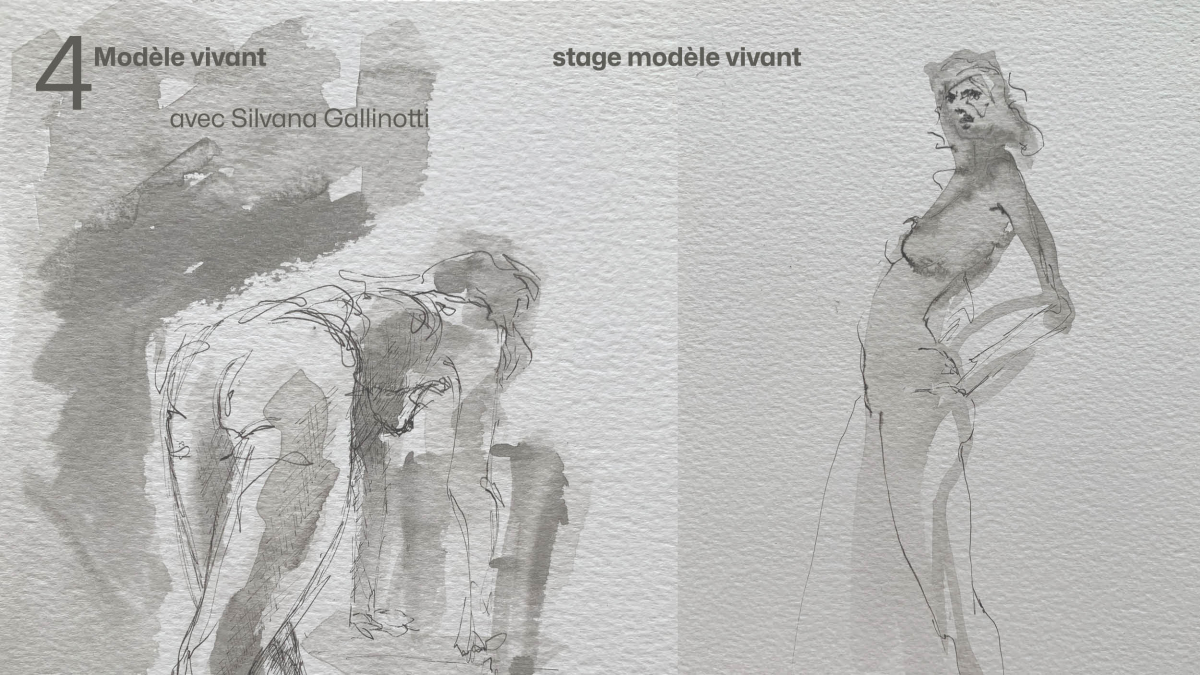 © Silvana Gallinotti © Silvana Gallinotti